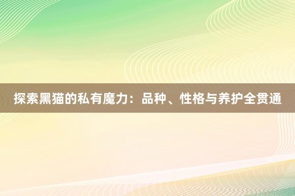 探索黑猫的私有魔力：品种、性格与养护全贯通